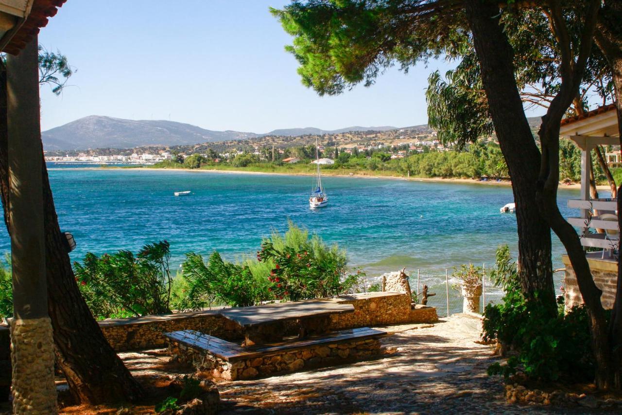 ניאה סטירה Venus Beach Hotel מראה חיצוני תמונה